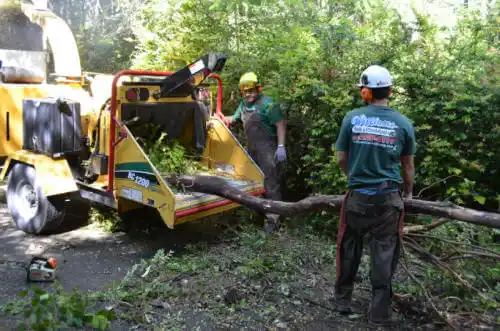 tree services Buhler